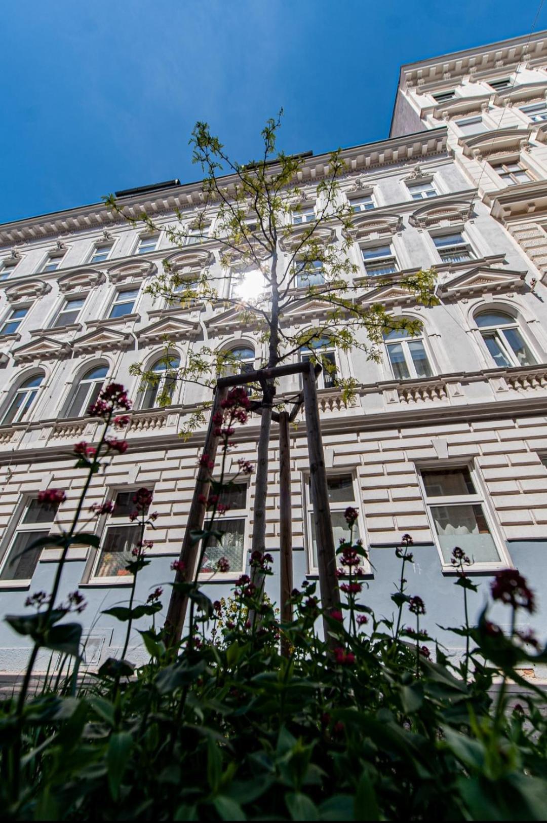 Vienna My City Apartment 1 Bedroom Exteriör bild