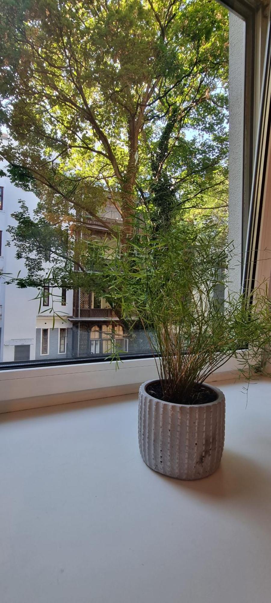 Vienna My City Apartment 1 Bedroom Exteriör bild